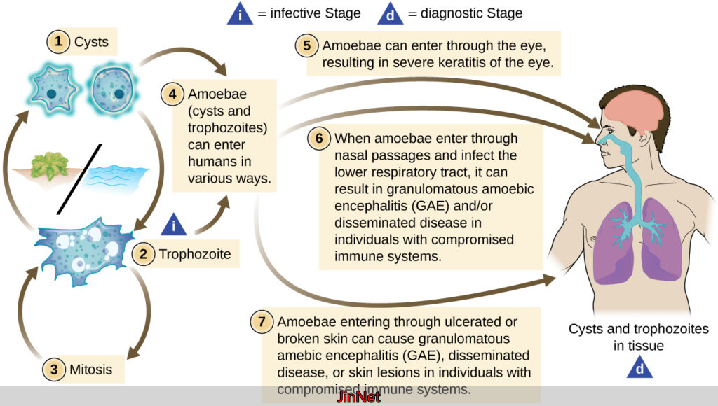 MT4跟单EA实战指南：自动化交易与风险管理