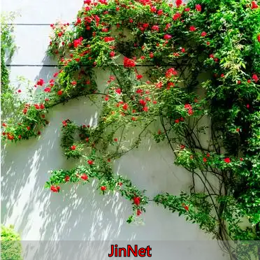 黄金交易开户步骤和注意事项_外汇黄金交易_如何通过正规渠道进行黄金外汇交易